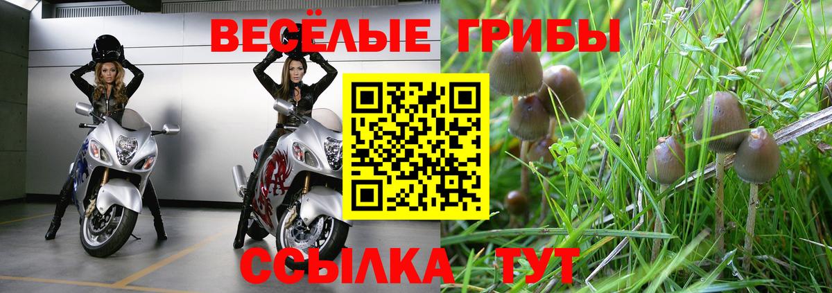 Псилоцибиновые грибы Magic Shrooms Владикавказ