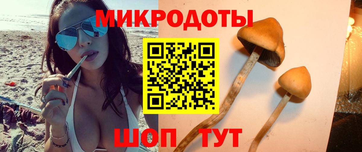 Псилоцибиновые грибы Psilocybine cubensis  Вход с VPN  Владикавказ  Галлюциногенные грибы Psilocybine cubensis 